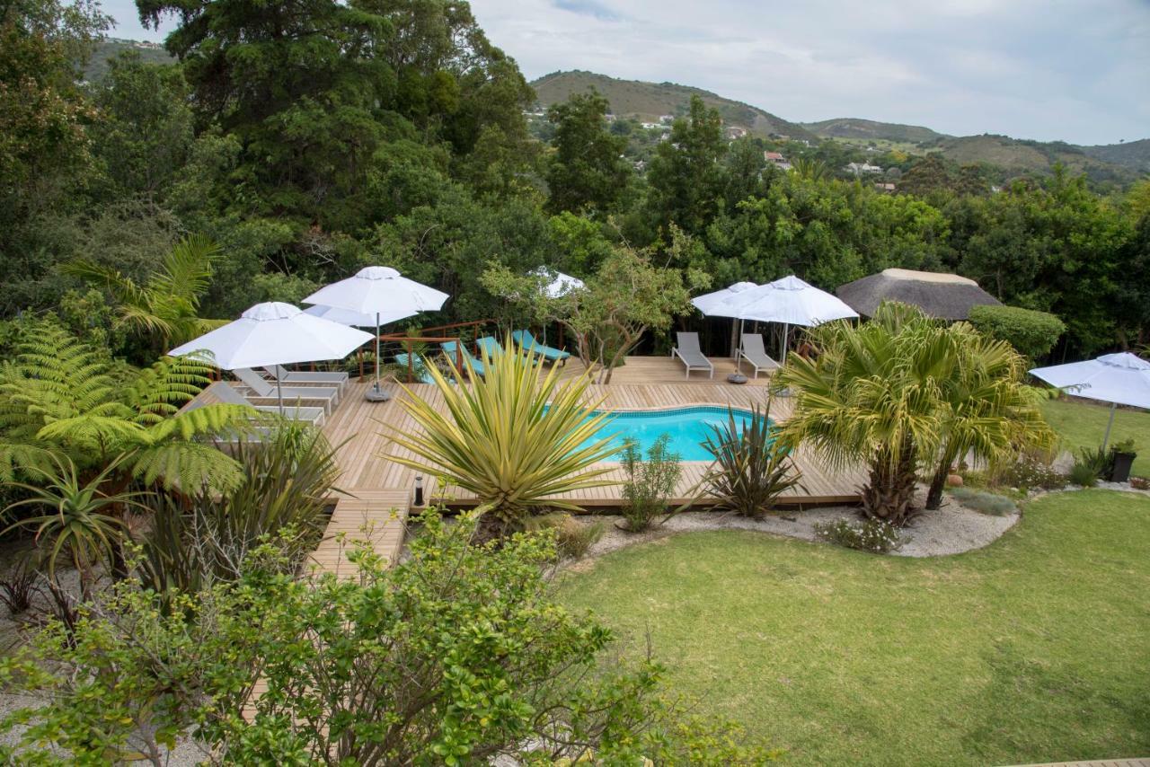 Armadillo Studios Knysna Exterior photo